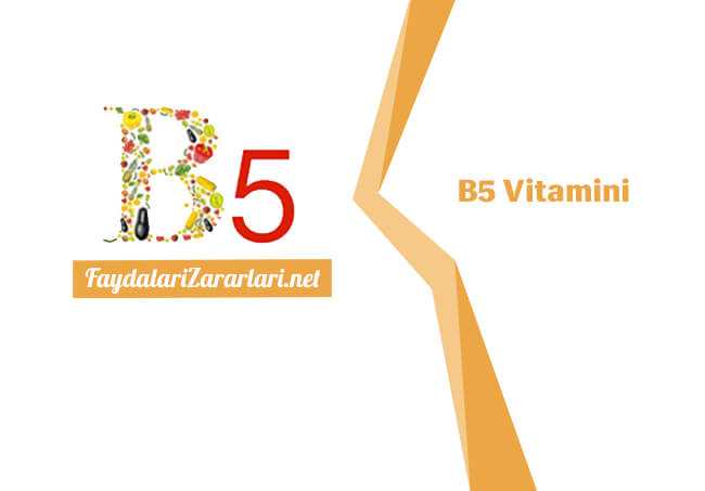 B5 Vitamini