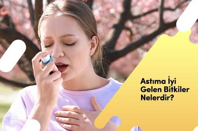 Astıma İyi Gelen Bitkiler Nelerdir