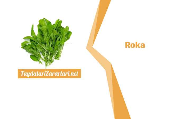 Roka Faydaları ve Zararları Nelerdir? - Bilmeniz Gereken 5 Faydası