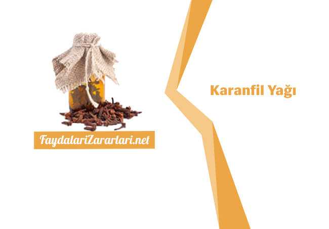 Karanfil Yağı Faydaları ve Zararları Nelerdir, Ne İşe Yarar?