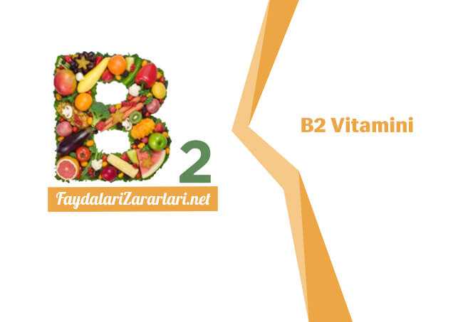 B2 Vitamini