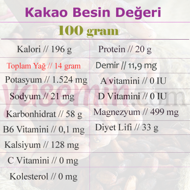 kakaonun besin değeri